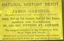 jamesgardnerroach[2].jpg